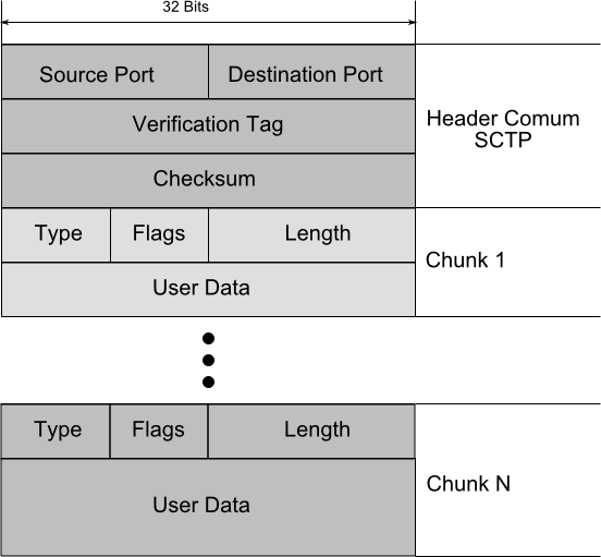 Pacote SCTP