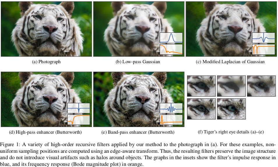 Variety of high-order recursive filters illustrating the versatility of our Non-Uniform Filtering formulation.