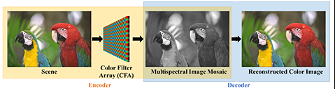 Joint Design of CFA and Demosaicing