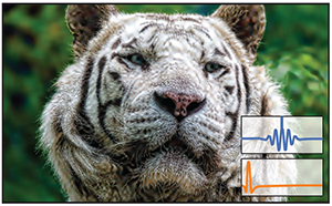 High-Order Recursive Filtering