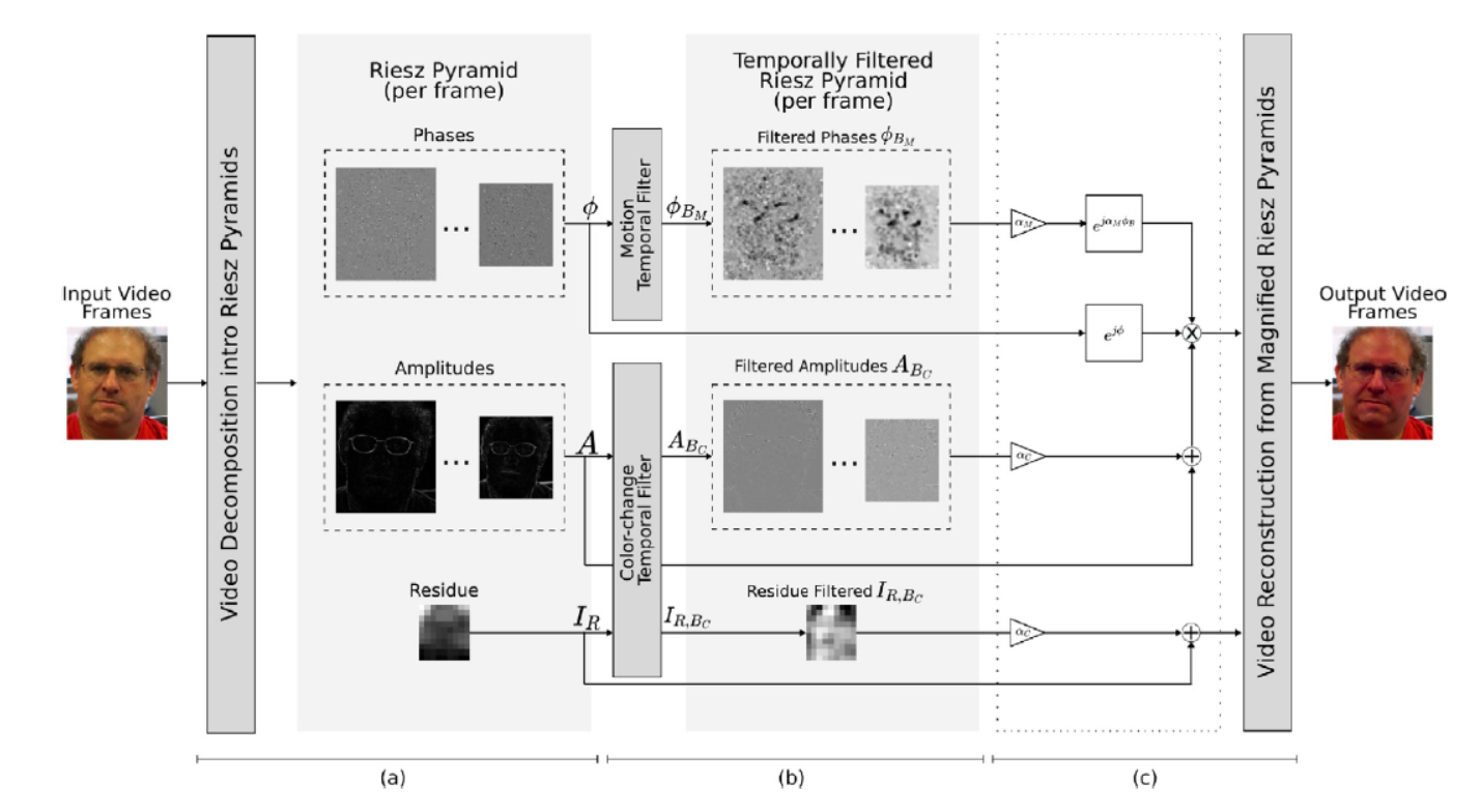 Simultaneous Magnification of Subtle Motions and Color Variations in Videos Using Riesz Pyramids.