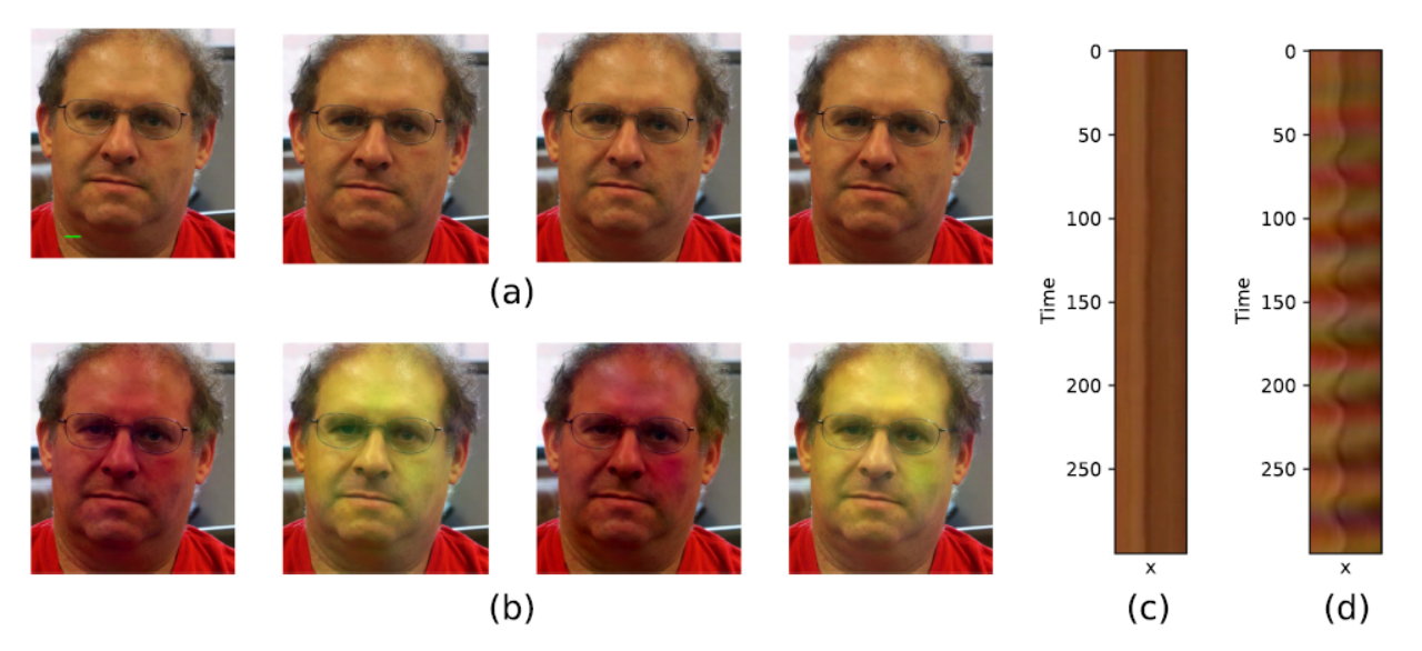 Simultaneous Magnification of Subtle Motions and Color Variations in Videos Using Riesz Pyramids.