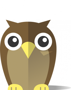 coruja_neutra-2-1-239x300