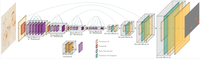 CNN Architecture