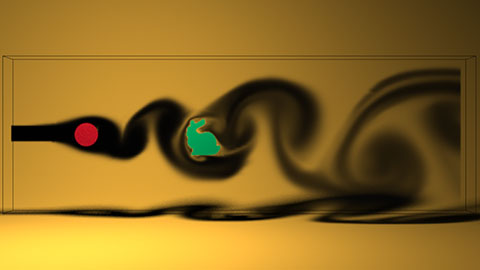 Efficient Smoke Simulation on Curvilinear Grids